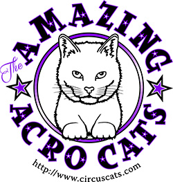The Amazing Acro-cats Scampers into Santa BarbAra