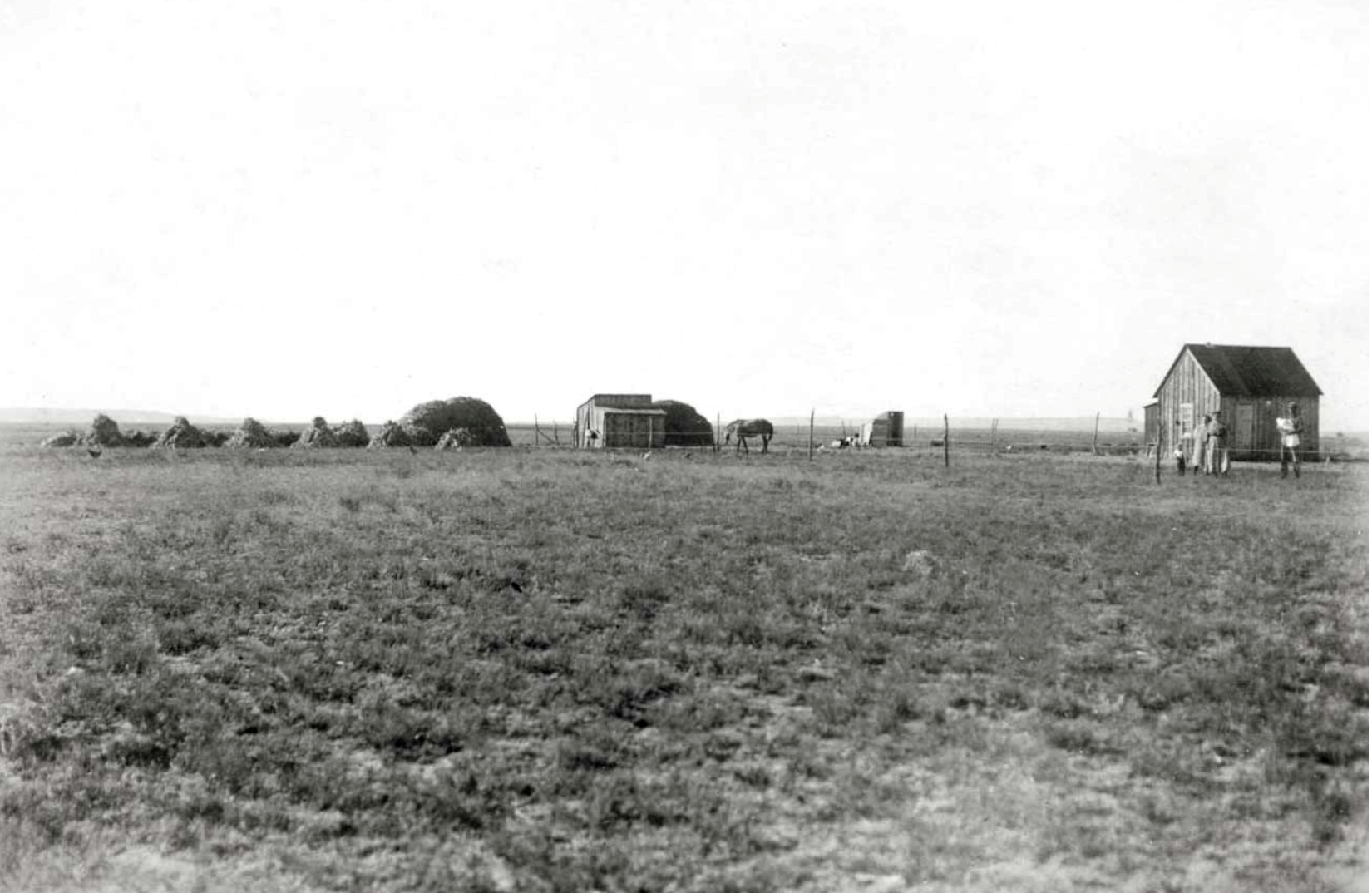 The Tender Land